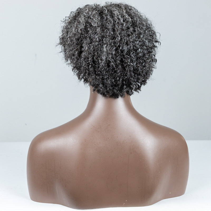Picture Color Coily Lace Closure Wig(4"*4") - MS-80