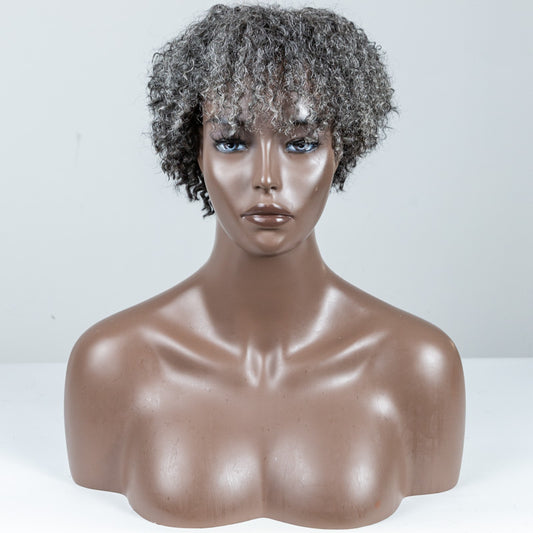 Picture Color Coily Lace Closure Wig(4"*4") - MS-80
